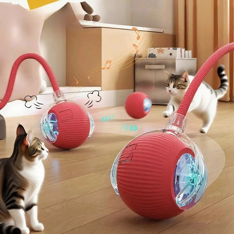 FetchLabs Interactive Ball Toy