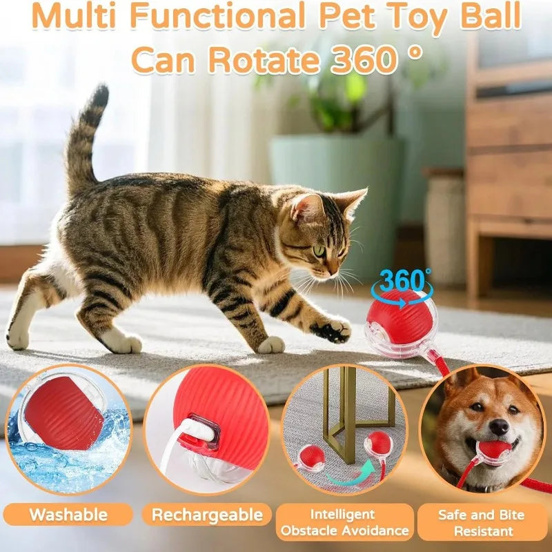 FetchLabs Interactive Ball Toy