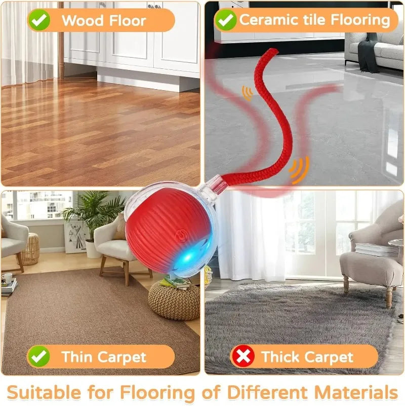 FetchLabs Interactive Ball Toy